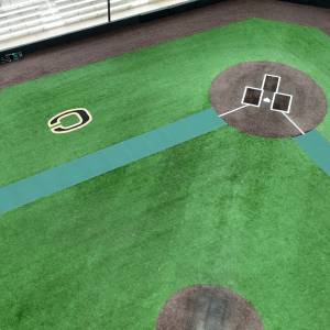 Base Line Baseball Field Tarps For 26' Home Plate/ Infield Spot Skin Covers / Base Line Path  - 18oz Vinyl