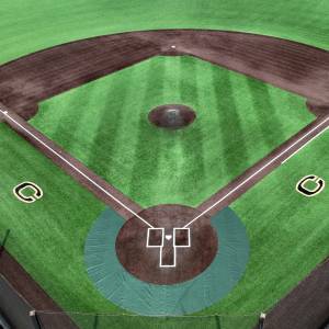 Baseball-Halo-Shaped-Cage-Collar-Ad