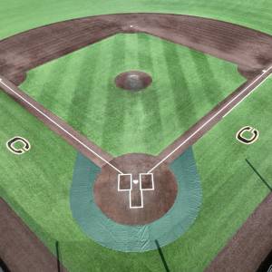 small-size-mesh-cage-collar-turf-protector-baseball-field